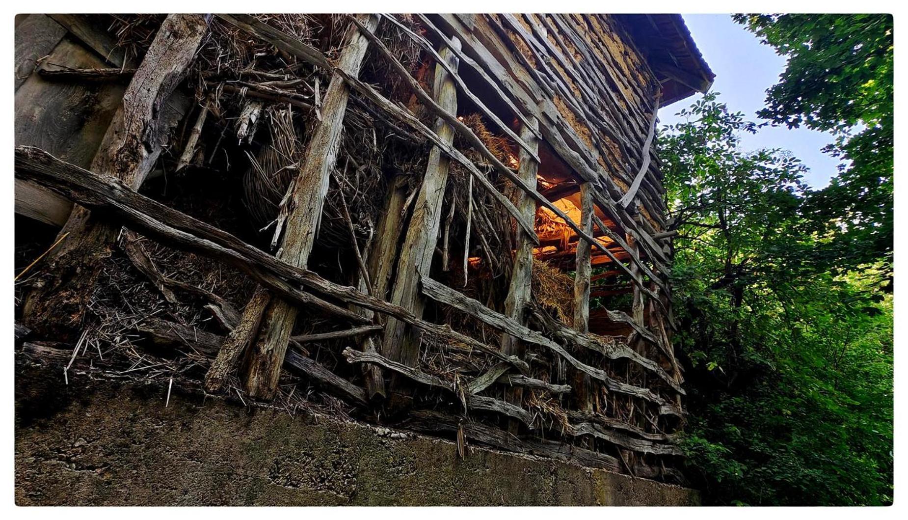 Ferienwohnung Zvezdano Nebo Svrljig Exterior foto