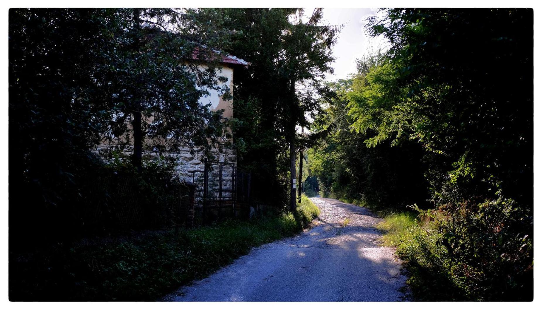 Ferienwohnung Zvezdano Nebo Svrljig Exterior foto