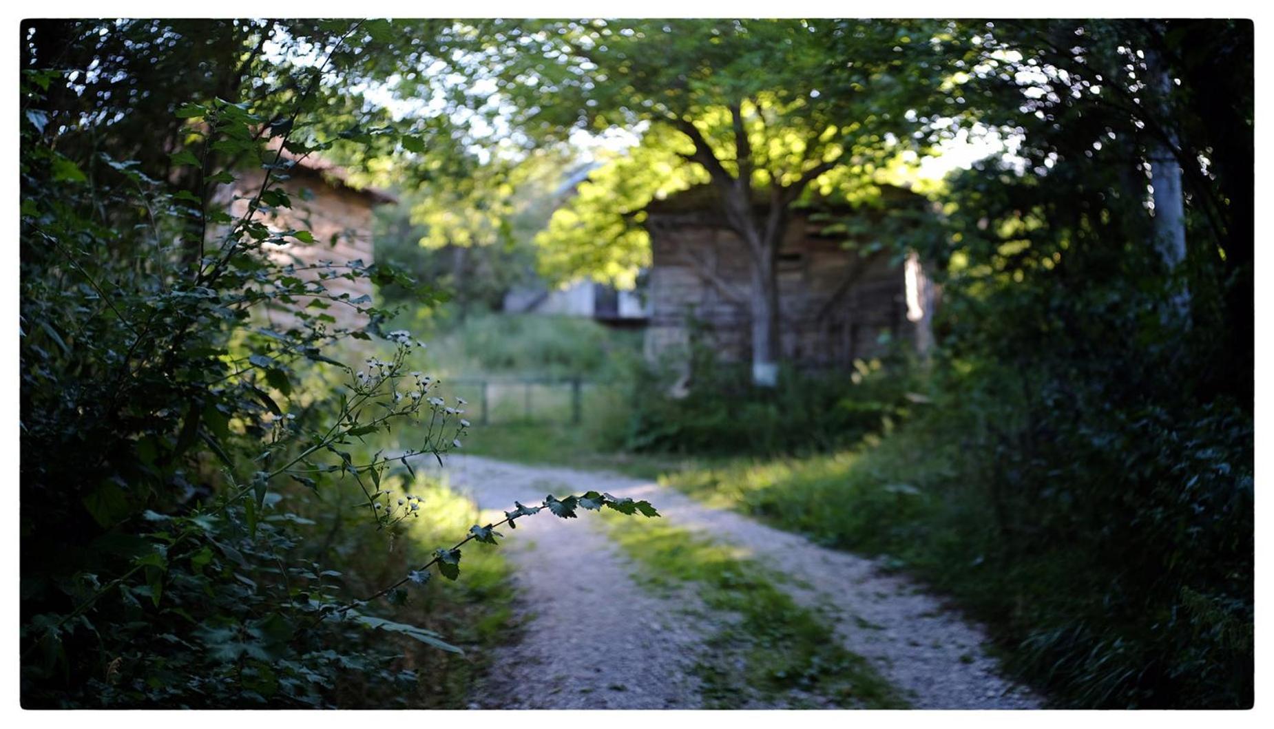 Ferienwohnung Zvezdano Nebo Svrljig Exterior foto