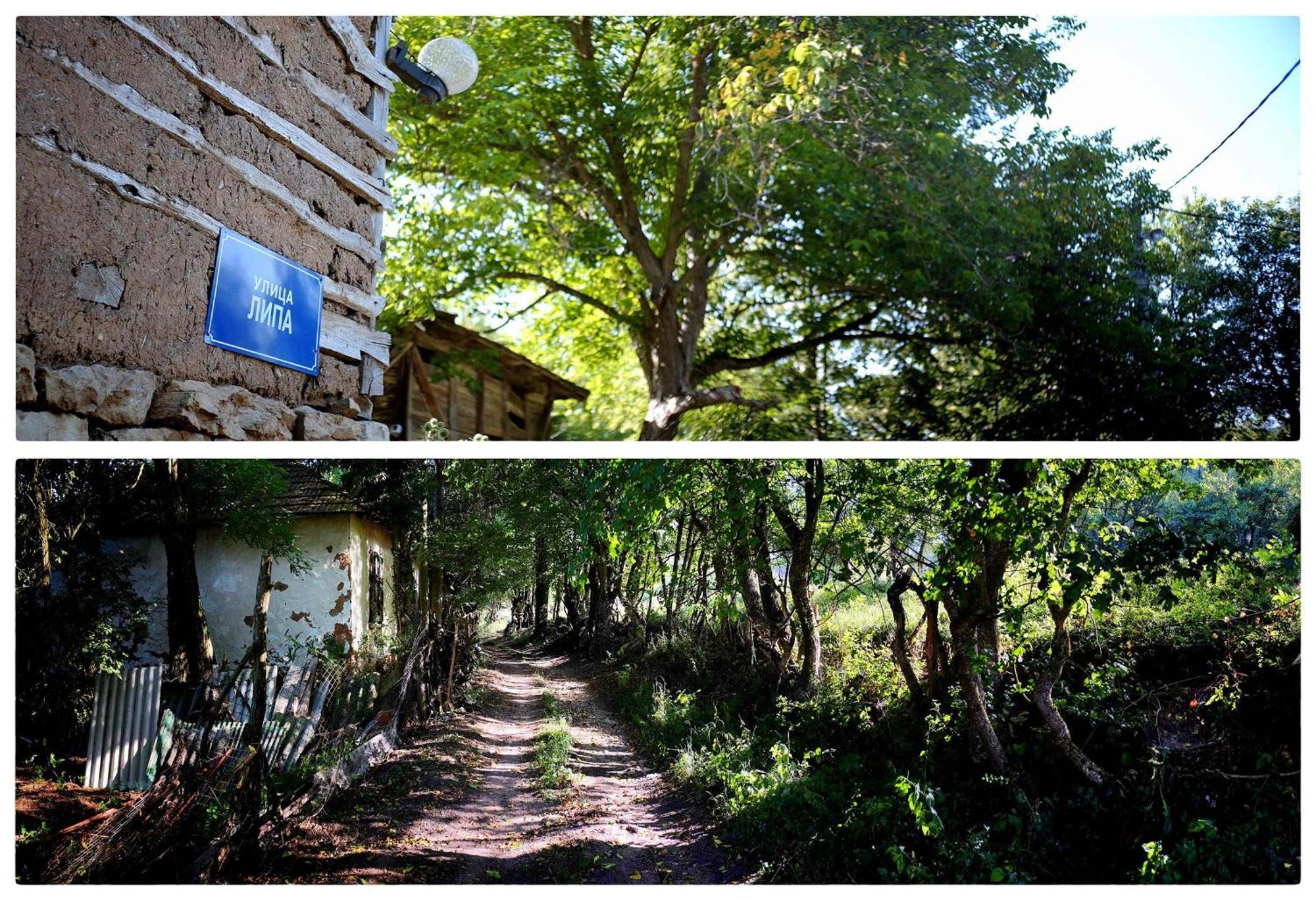 Ferienwohnung Zvezdano Nebo Svrljig Exterior foto
